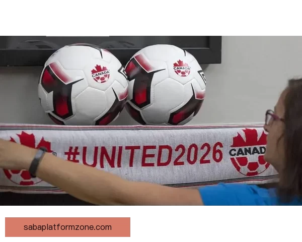 2026世界杯投注指南全面解析让彩民轻松掌握投注技巧